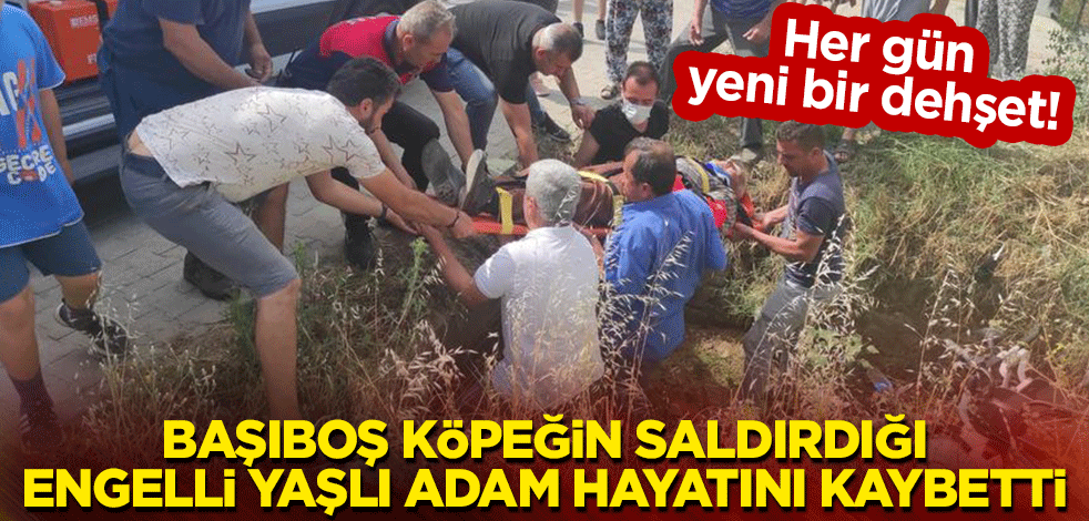 Her gün yeni bir dehşet: Başıboş köpeğin saldırdığı engelli yaşlı adam hayatını kaybetti