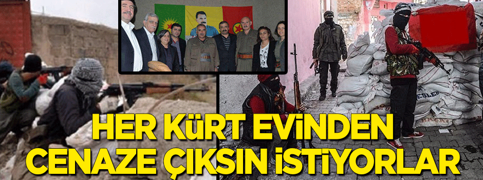 "Her Kürt evinden cenaze çıksın istiyorlar"