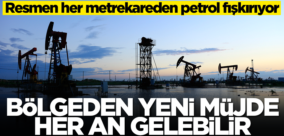 Her metrekareden petrol fışkırıyor! Yetkili isim Türkiye'nin yeni hamlesini duyurdu