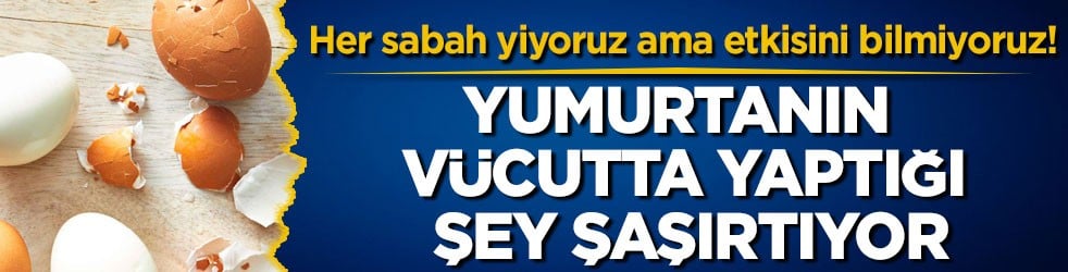 Her sabah yiyoruz ama etkisini bilmiyoruz! Yumurtanın vücutta yaptığı şey şaşırtıyor