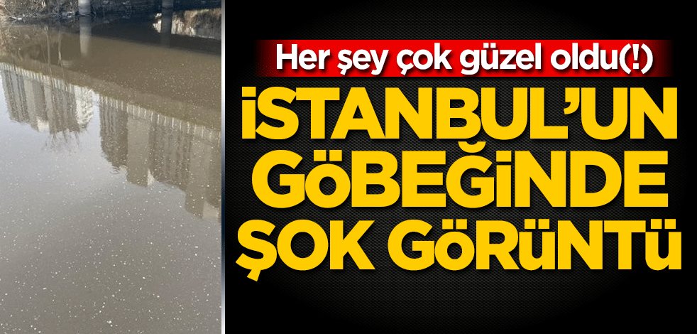 Her şey çok güzel oldu(!) İstanbul'un göbeğinde şok görüntü