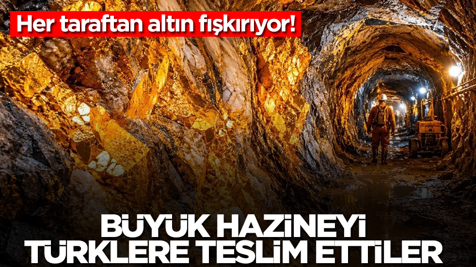 Her taraftan altın fışkırıyor: 'Burada hazine var' deyip Türklere teslim ettiler