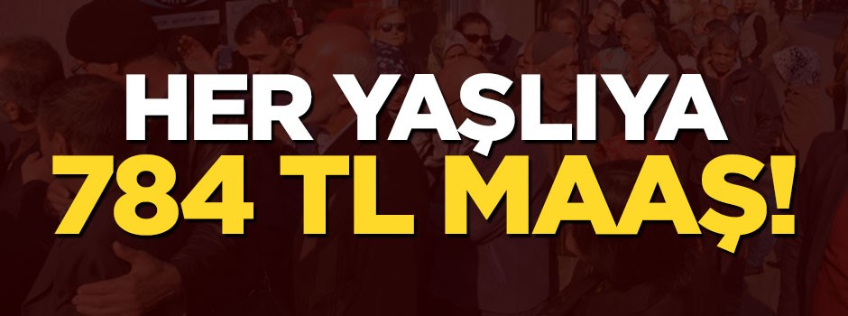 Devlet her yaşlıya 784 lira maaş bağlayacak