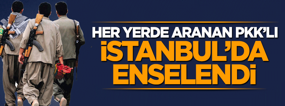 Her yerde aranan PKK'lı İstanbul'da enselendi