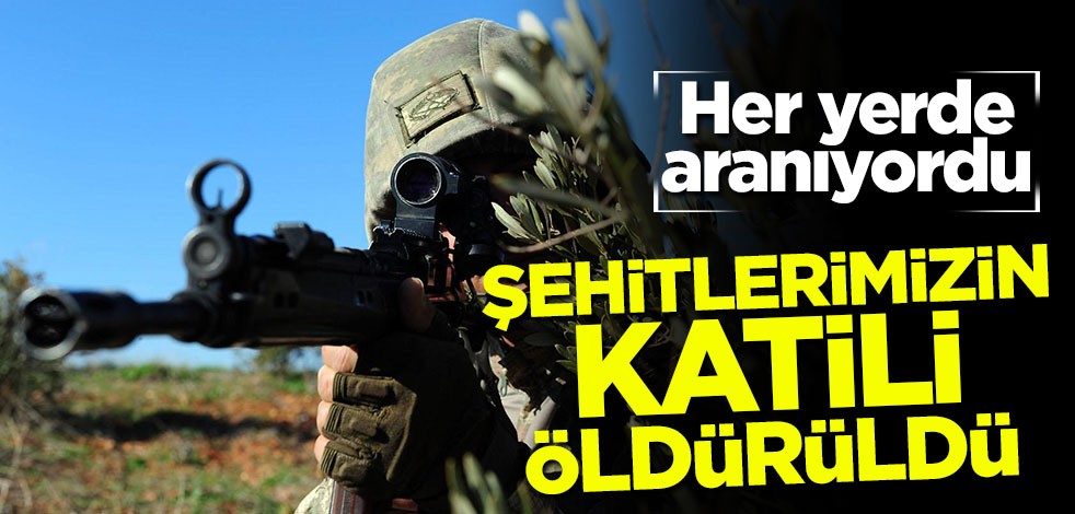 Her yerde aranıyordu! Şehitlerimizin katili öldürüldü