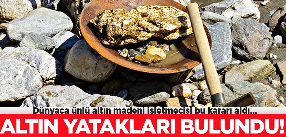 Her yerden altın fışkırıyor! Türkiye'ye ilan ettiler: Yabancı şirket Türkiye'deki o ilçeye göz dikti