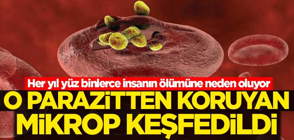 Her yıl yüz binlerce insanın ölümüne neden olan hastalık kontrol altına alınabilir