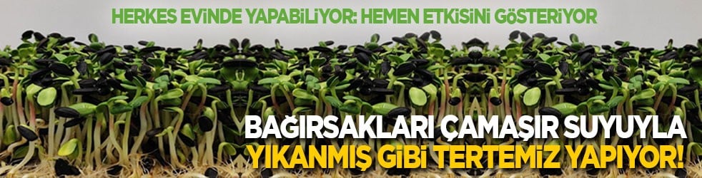 Herkes evinde yapabiliyor: Bağırsakları çamaşır suyuyla yıkanmış gibi tertemiz yapıyor