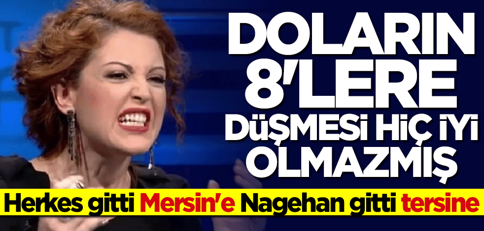 Herkes gitti Mersin'e Nagehan gitti tersine... Doların 8'lere düşmesi iyi olmazmış