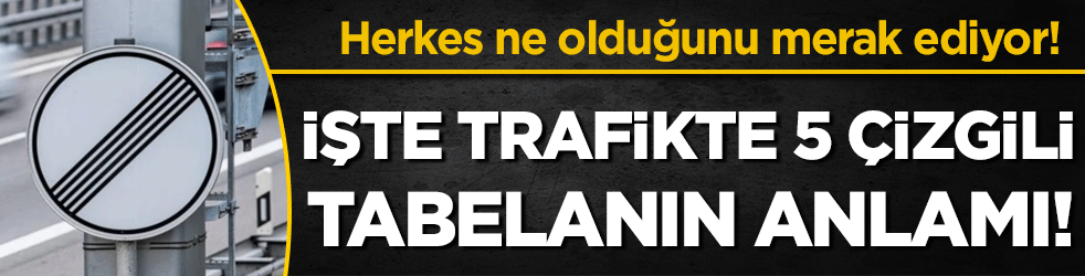 Herkes ne olduğunu merak ediyor: İşte trafikteki 5 çizgili tabelanın anlamı!
