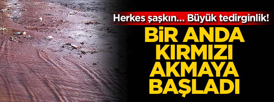 Herkes şaşkın… Büyük tedirginlik! Bir anda kırmızı akmaya başladı