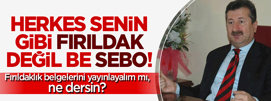 Herkes senin gibi fırıldak değil be Sebo!