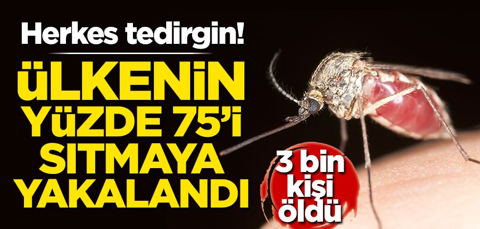 Herkes tedirgin, 3 bin kişi öldü! Ülkenin yüzde 75'i sıtmaya yakalandı