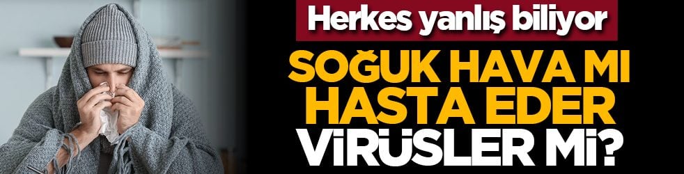 Herkes yanlış biliyor: Soğuk Hava mı Hasta Eder, Virüsler mi?