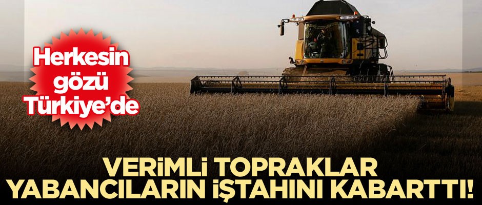 Herkesin gözü Türkiye’de… Verimli topraklar yabancıların iştahını kabarttı!