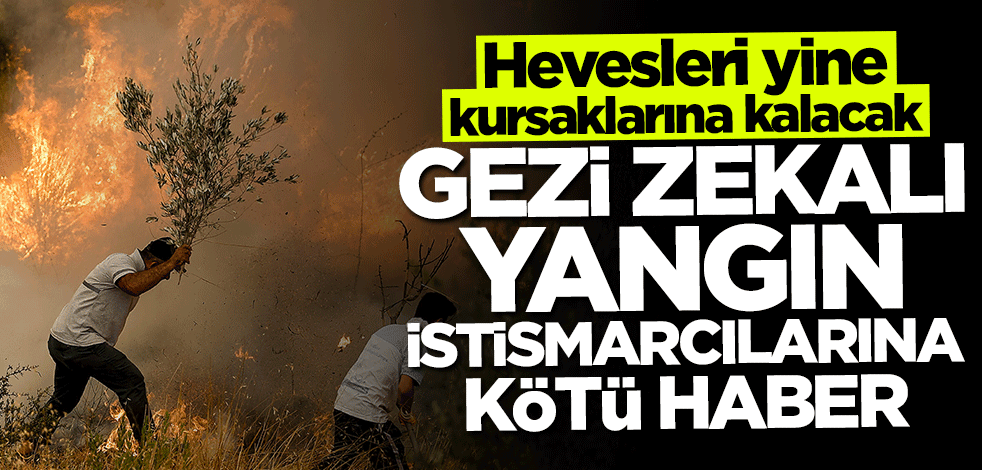 Hevesleri kursaklarında kalacak! "Gezi Zekalı" yangın istismarcılarına kötü haber