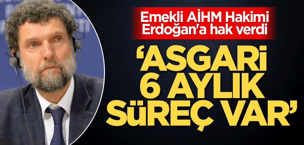 Hevesleri kursaklarında kaldı! Emekli AİHM Hakimi Erdoğan'a hak verdi: Asgari 6 aylık süreç var!