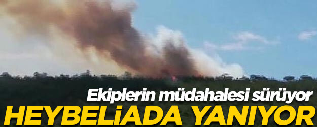 Heybeliada'da orman yangını! Ekipler karadan ve havadan müdahale ediyor