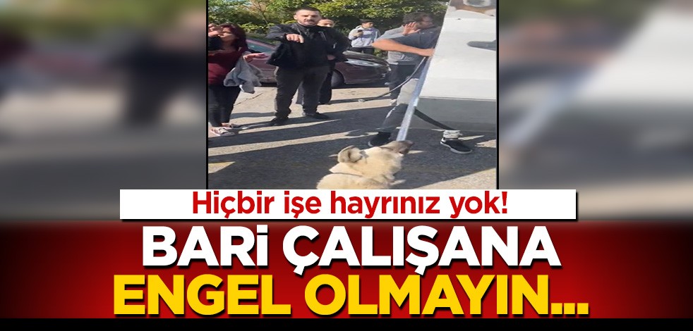 Hiçbir işe hayrınız yok bari engel olmayın! Başıboş köpekleri toplayan Gölbaşı Belediyesi ekibini durdurma çabası!