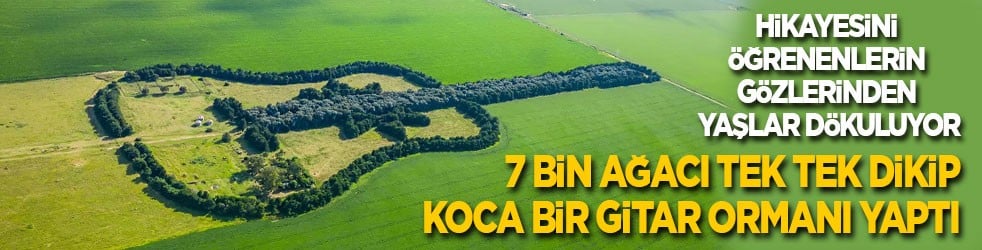 Hikayesini öğrenenlerin gözünden yaşlar geliyor! 7 bin ağacı tek tek dikip koca bir gitar ormanı yaptı