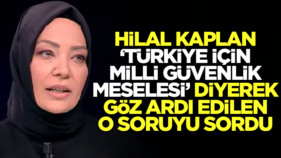 Hilal Kaplan, 'Türkiye için milli güvenlik meselesi' diyerek göz ardı edilen o soruyu sordu