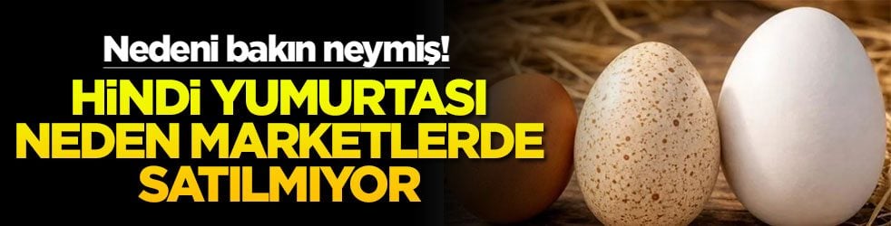 Hindi yumurtası neden marketlerde satılmıyor? Nedeni bakın neymiş!