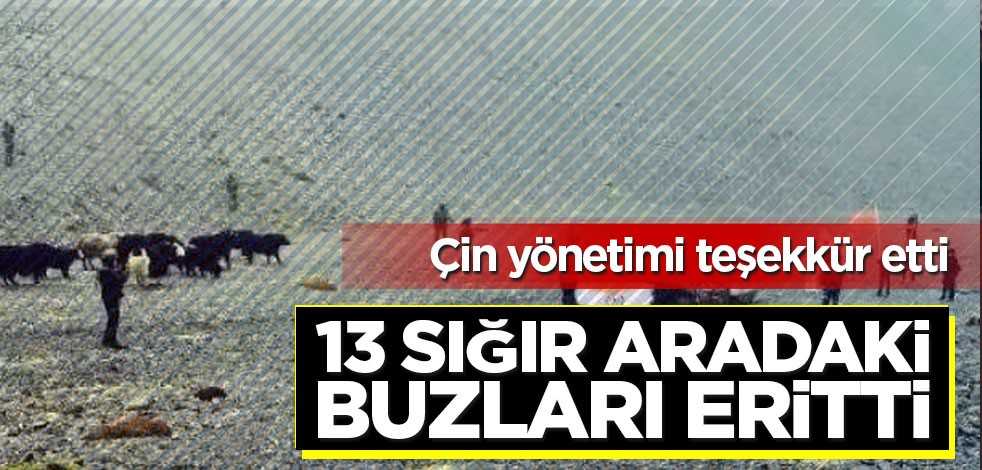 Hindistan-Çin arasındaki buzları '13 sığır' eritti