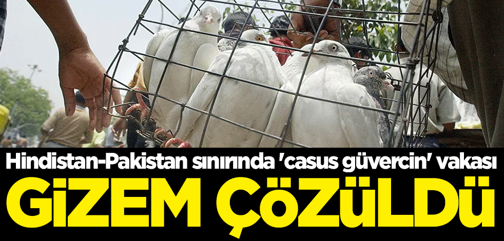 Hindistan-Pakistan sınırında 'casus güvercin' vakası! Gizem çözüldü