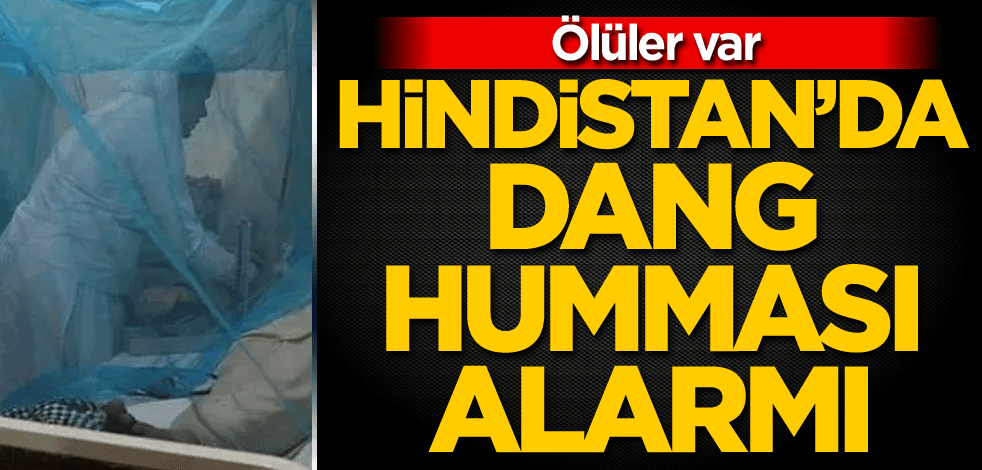 Hindistan'da dang humması alarmı: 50 ölü