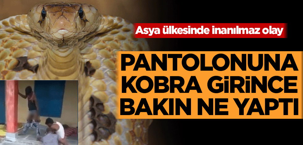 Hindistan'da inanılmaz olay! Pantolonuna kobra girince bakın ne yaptı