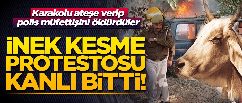 Hindistan'da inek kesme protestosunda kan aktı! 1 polis müfettişini öldürdüler