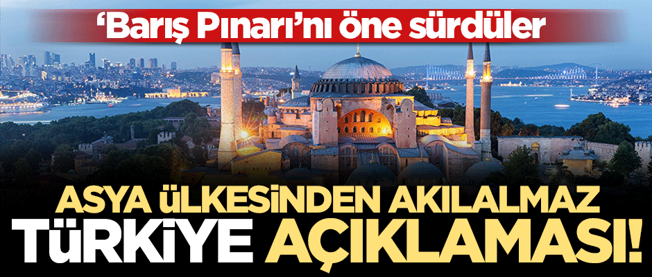 Hindistan'dan skandal! 'Barış Pınarı Harekatı'ndan dolayı Türkiye'ye seyahat uyarısı yaptılar