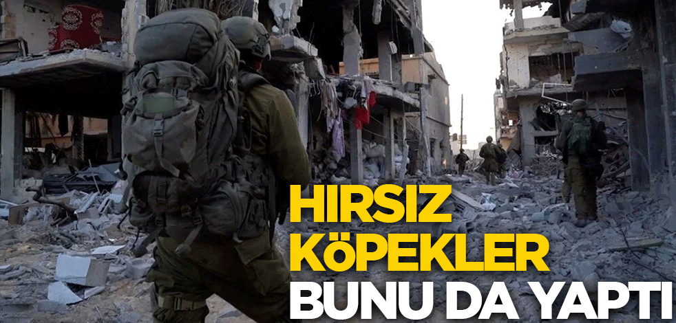 Hırsız köpekler sonunda bunu da yaptı