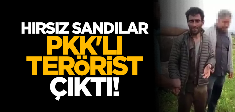 Hırsız sandılar, PKK'lı terörist çıktı!