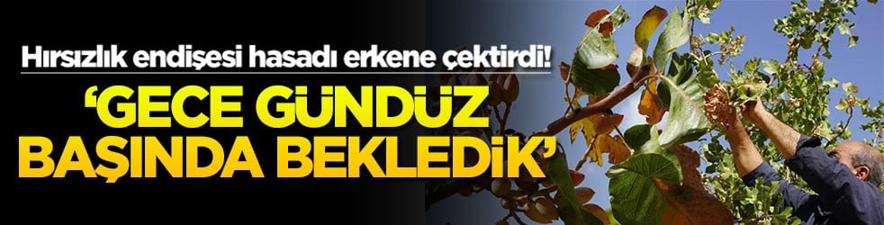 Hırsızlık endişesi hasadı erkene &ccedil;ektirdi! &lsquo;Gece g&uuml;nd&uuml;z başında bekledik&rsquo;