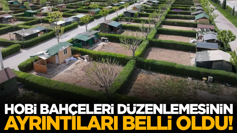 Hobi bahçeleri düzenlemesinin ayrıntıları belli oldu!