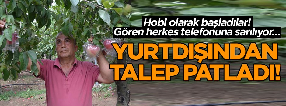 Hobi olarak başladılar! Gören herkes telefonuna sarılıyor… Yurtdışından talep patladı!