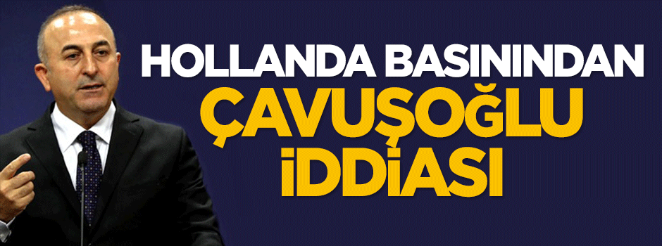 Hollanda: Çavuşoğlu programı iptal etti