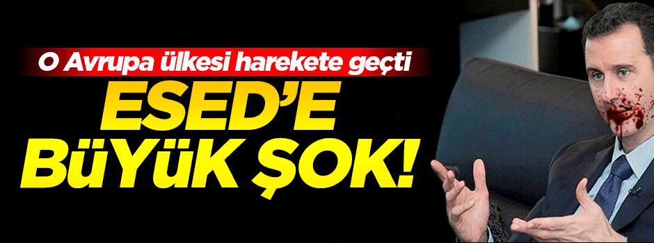 Hollanda: Esed Lahey'de yargılanmalı