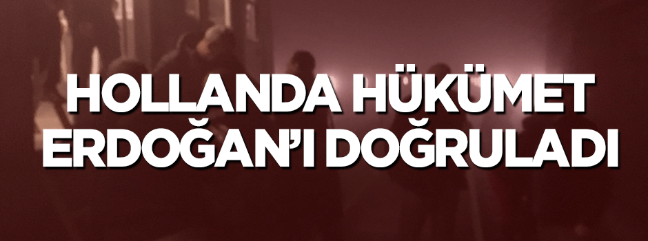 Hollanda hükümeti Erdoğan'ı doğruladı