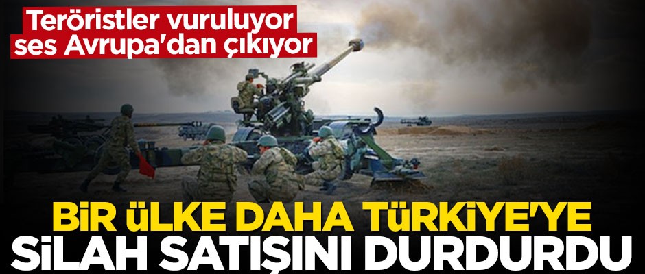 Hollanda, Türkiye'ye silah ihracatını durdurdu
