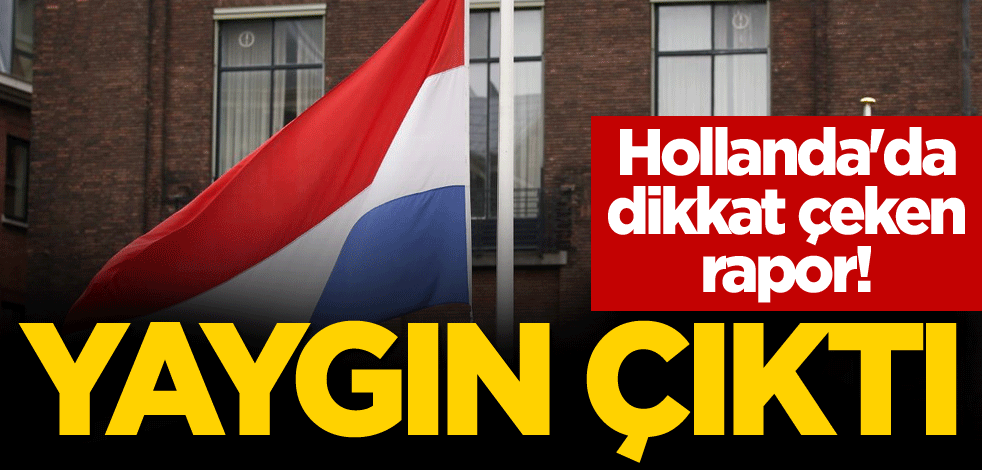 Hollanda'da dikkat çeken rapor! Yaygın çıktı