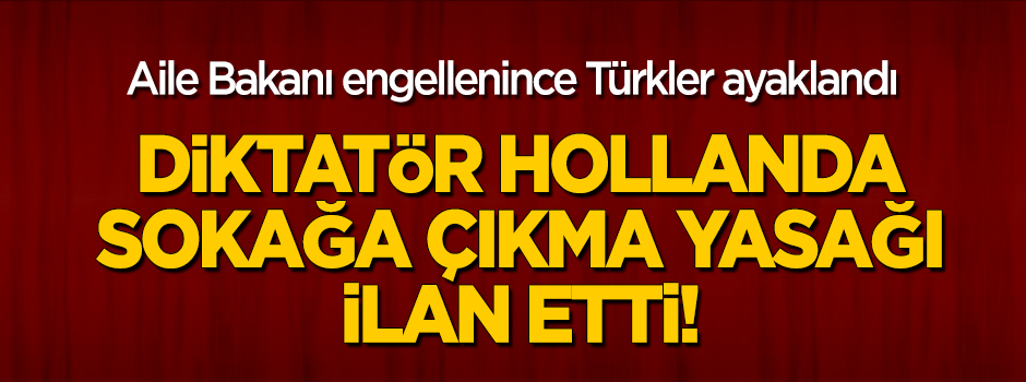 Hollanda'da sokağa çıkma yasağı ilan edildi