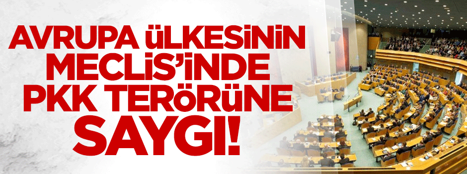 Hollanda'dan PKK terörüne saygı!