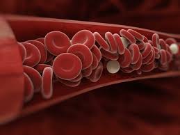 Homosistein nasıl azaltılır?