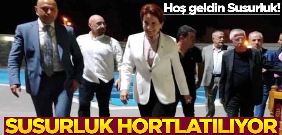 Hoş geldin Susurluk! Susurluk hortlatılıyor..