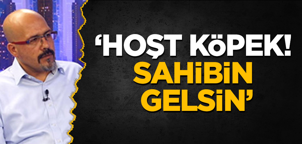 ‘Hoşt köpek! Sahibin gelsin!’