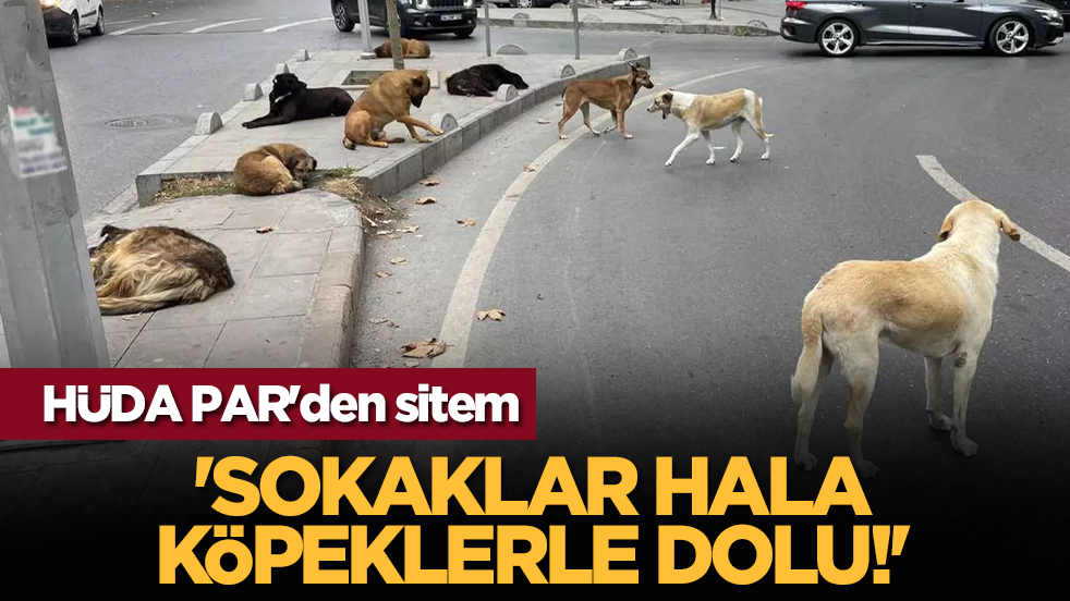 HÜDA PAR'den sitem: 'Sokaklar hala köpeklerle dolu!'