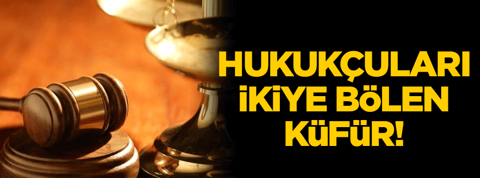 Hukukçuları ikiye bölen küfür!