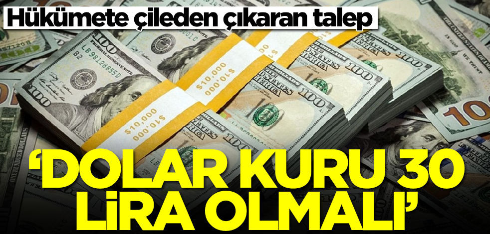 Hükümete çileden çıkaran talep: Dolar kuru 30 liraya yükseltilmeli